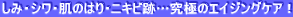 ݁EVÊ͂EjLrՁcɂ̃GCWOPAI